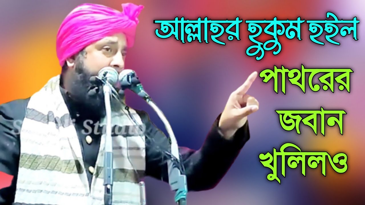 Maulana Nazrul Islam || Bangla New Waz || Sunali Studio