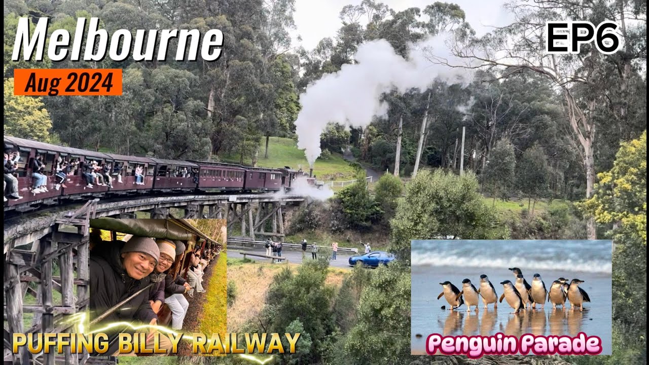 Join us for a Day trip to Puffing Billy Railway & Phillip Island to see the Penguin Parade by KlooK