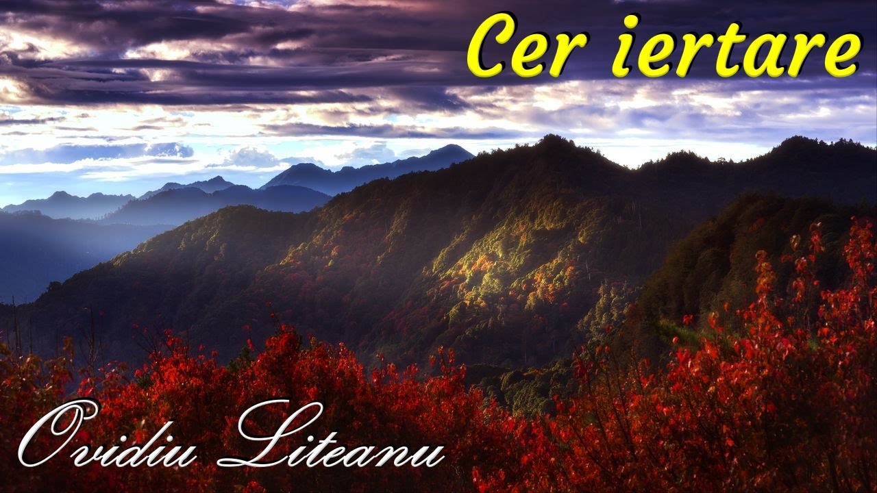 Ovidiu Liteanu - Cer iertare - Remix