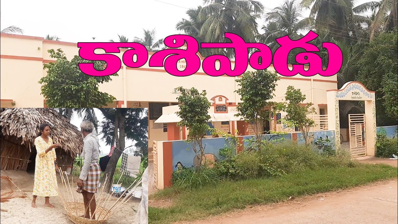 //kasipadu Village// #trevel #trevelling #trending