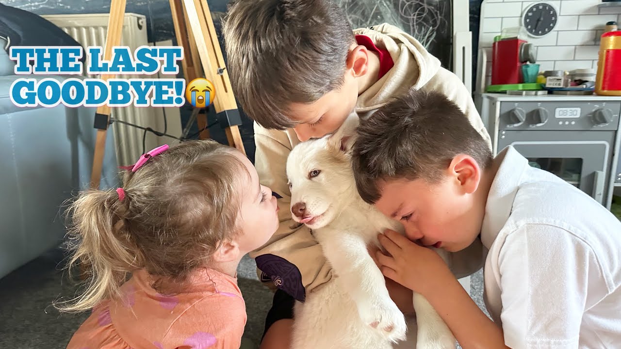 Our Family Saying Final Goodbye The Last Sweetest Last Puppy Ella!😭. She Was SO LOVED!!