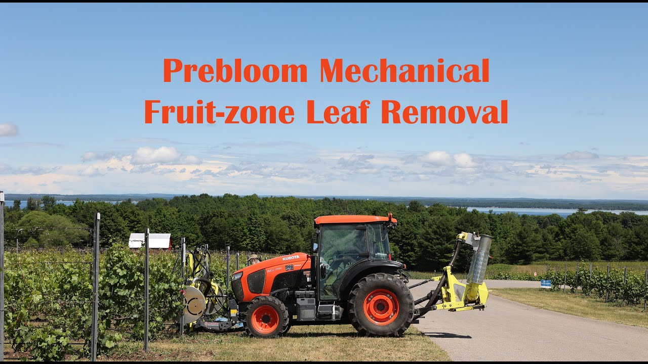 Prebloom Mechanical Fruit-zone Leaf Removal