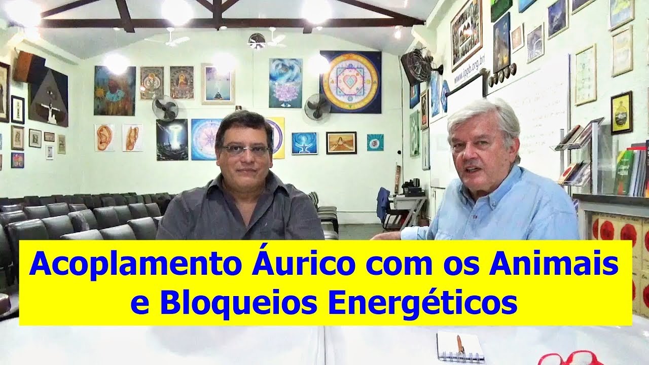 Acoplamento Áurico com os Animais e Bloqueios Energéticos | # 5 Stum Pet