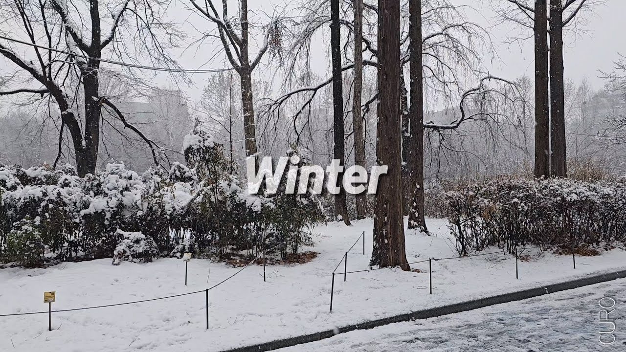Winter