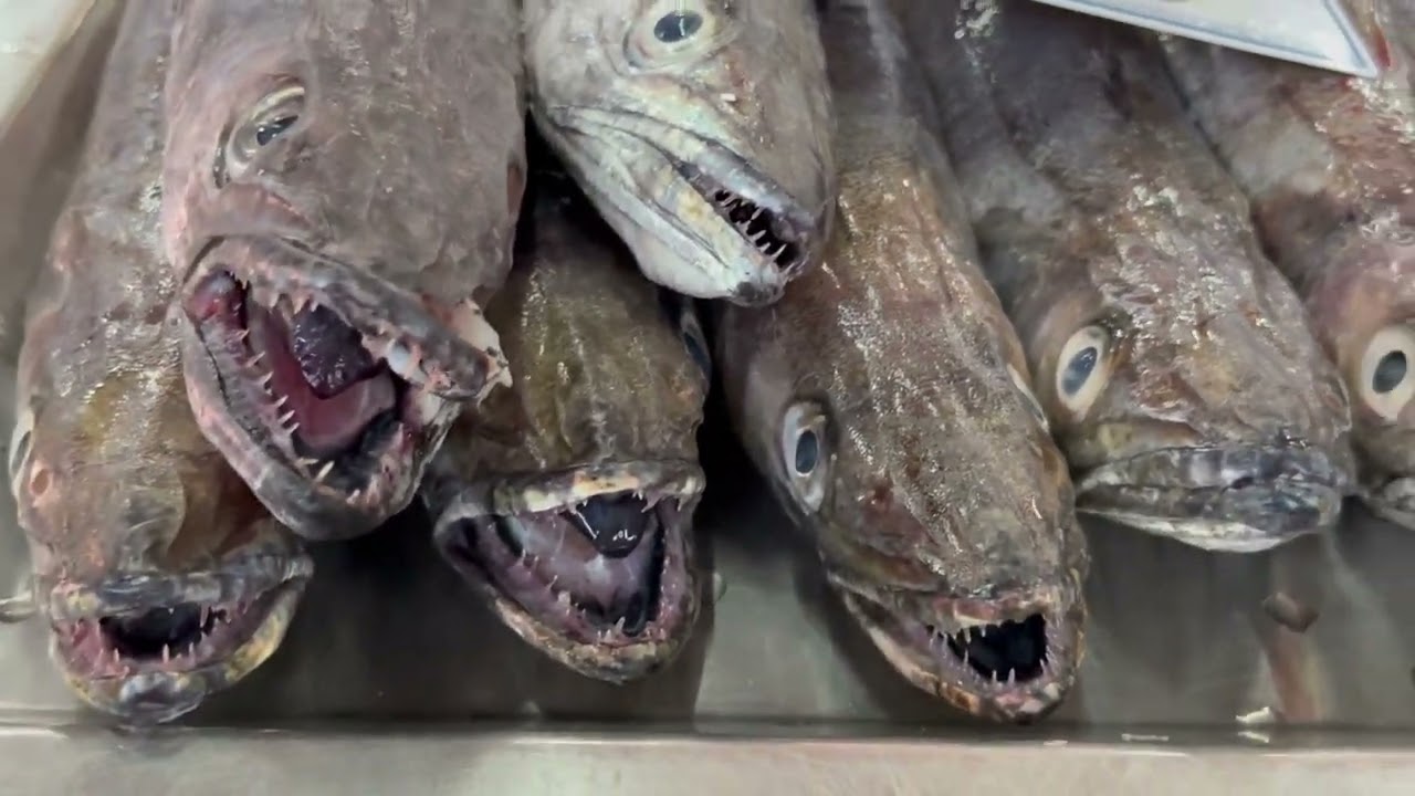 Fish Market Walk, Algarve, Portugal (Exotic Seafood with Closeups and Prices)