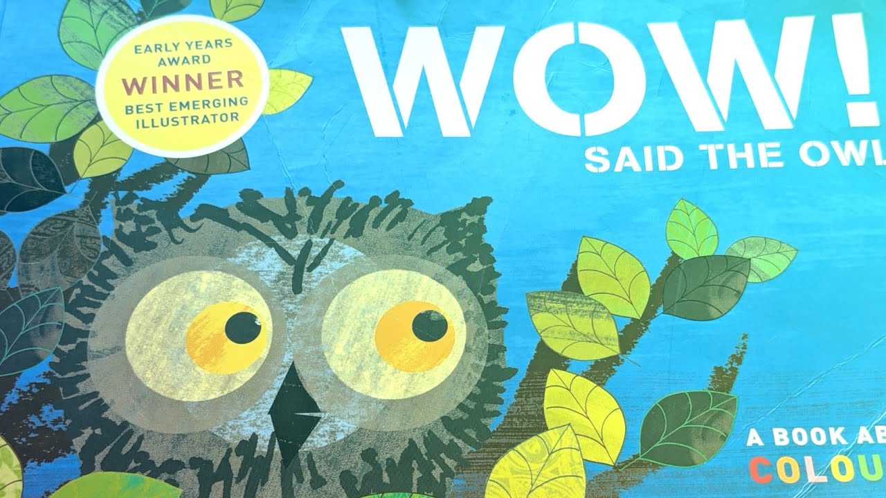 WOW said the owl by Tim Hopgood