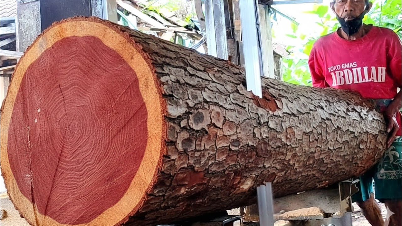 WATCHING THE MACHINE SPLIT A LARGE MAHOGANY WOOD GIVES A SENSATION OF ITS OWN