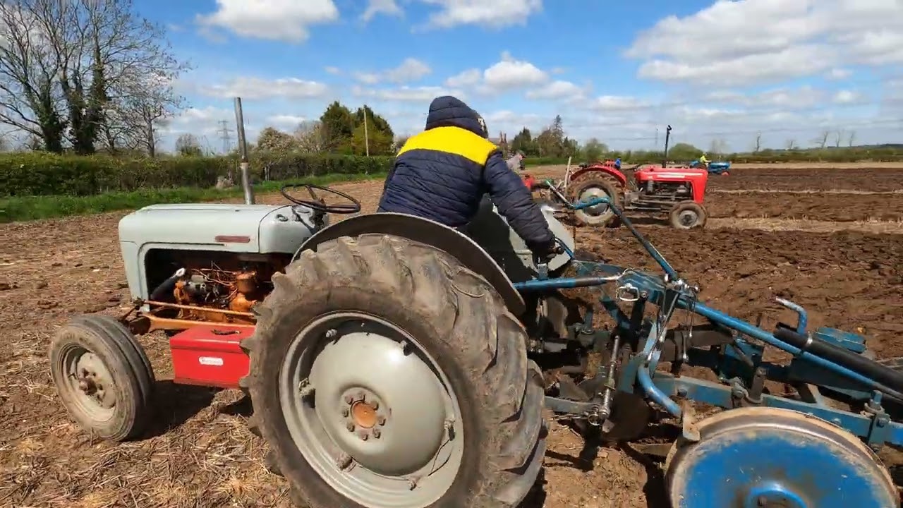 1957 Ferguson FE35 Gold Belly 2.3 Litre 4-Cyl Diesel (34 HP) with Ransomes Plough