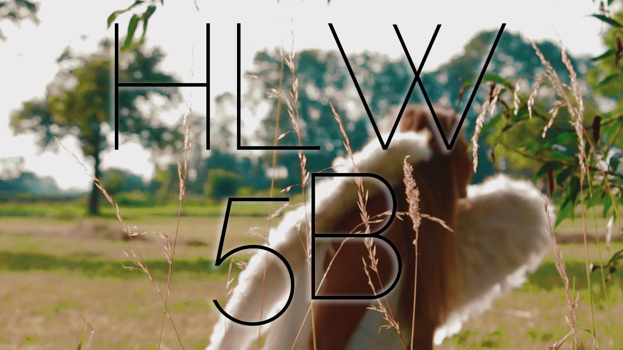 Maturavideo 5B HLW Rankweil 2015/16