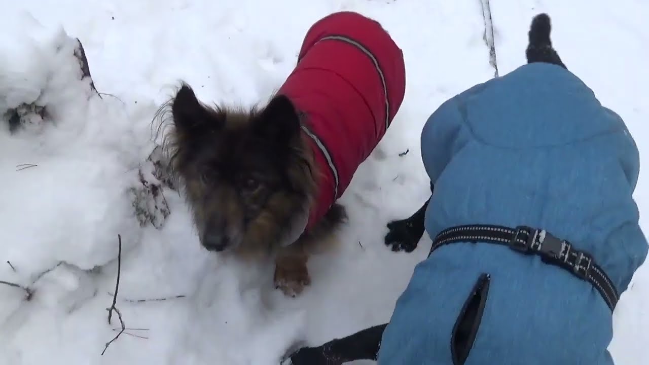 Kleine To-Do's geh'n auch im Schnee  😉