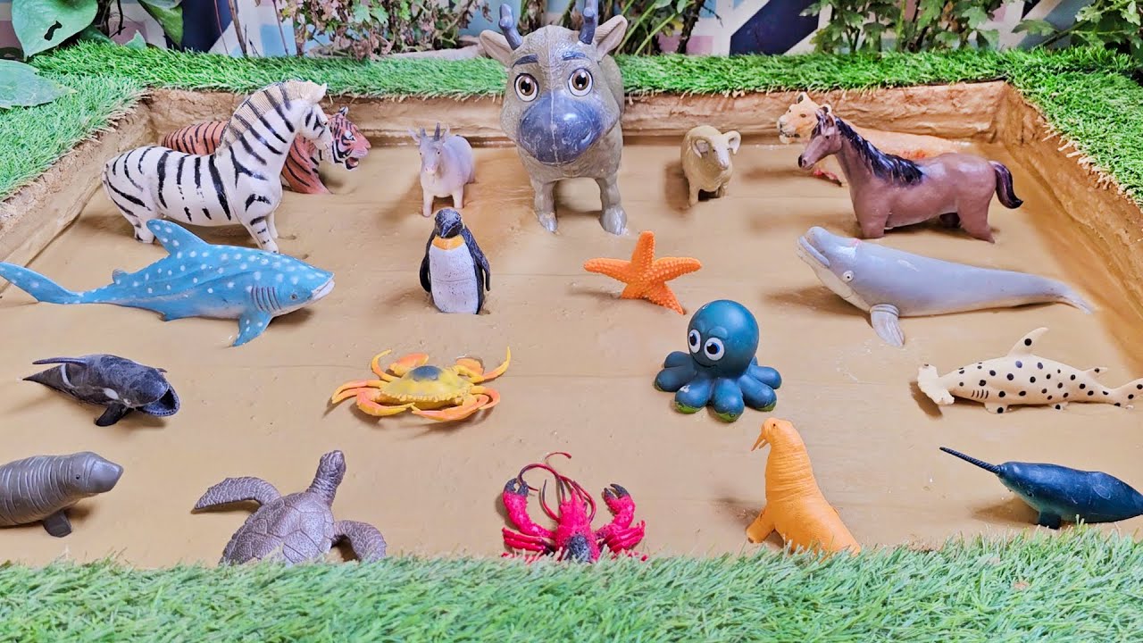 Playful Exploration of Farm Animals & Deep-Sea Animals for Little Learners
