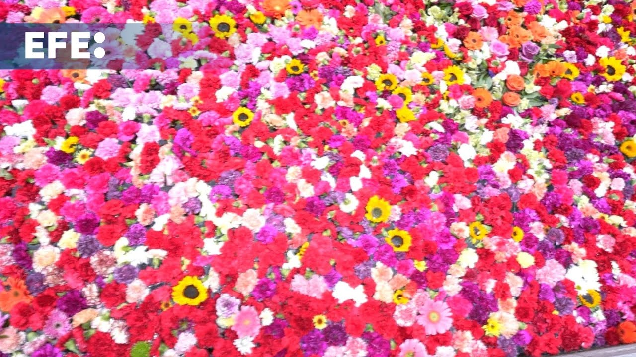 El Eje Ambiental de Bogotá amanece tapizado de flores como preludio de la Bienal BOG25
