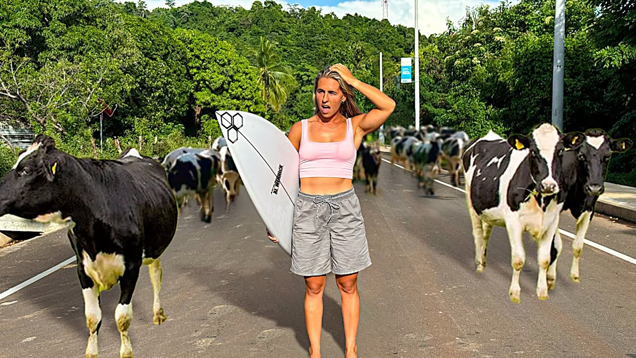 The Truth About Surfing El Salvador