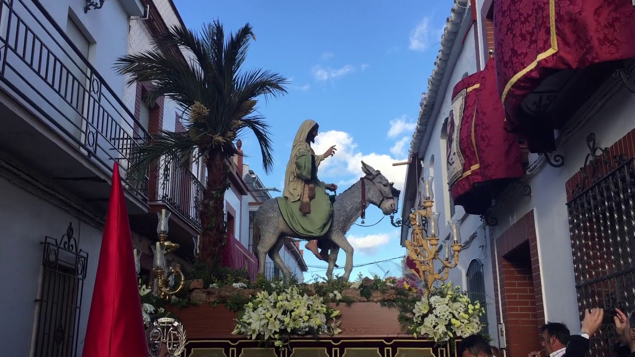 STMO. CRISTO DEL AMOR DE LA BORRIQUITA ROCIANA EN C/SOCORRO