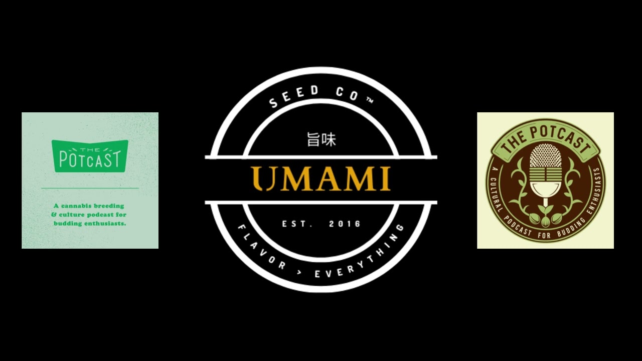 Episode 79 ft Umami Seed Co - The Pot Cast - 21/01/23