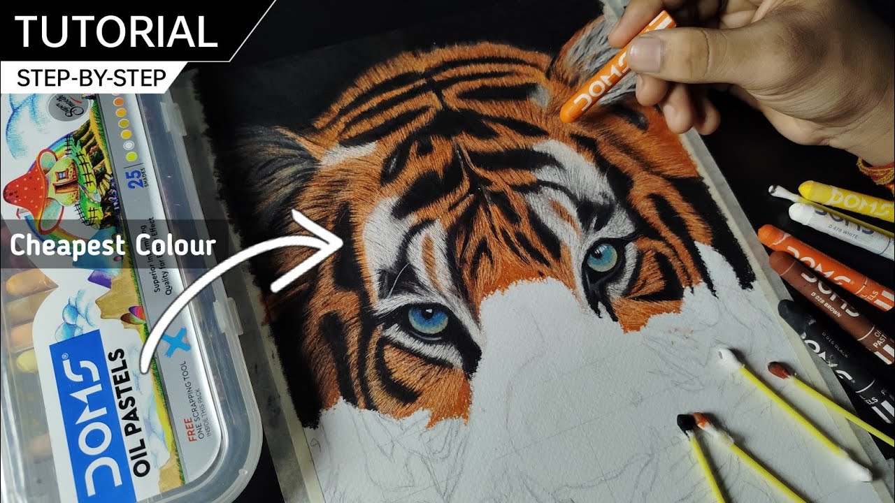 Draw with me / Oil Pastel Tiger Drawing | Easy Oil Pastel Tiger Drawing | Step by Step 😍