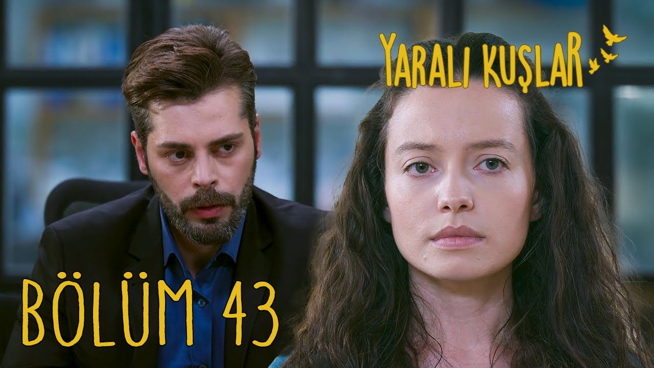 Yaralı Kuşlar 43. Bölüm