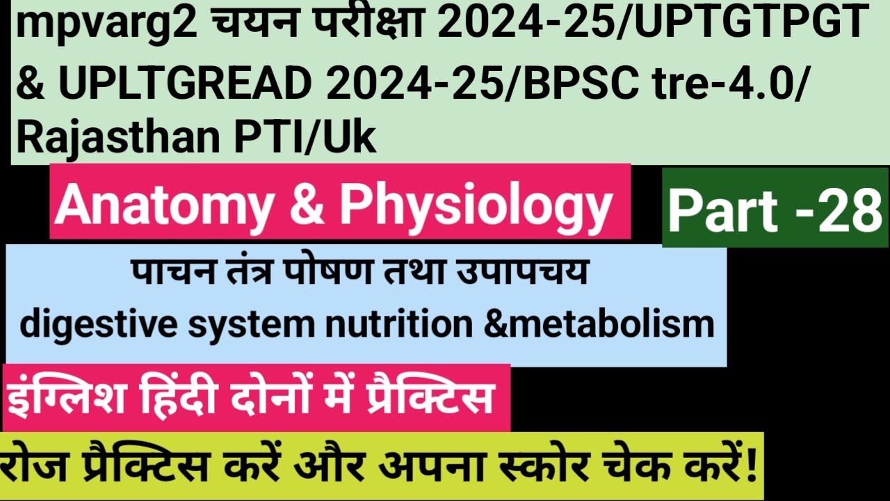 Anatomy&physiology in physical education MCQ/digestive system&nutrients/BPSC tre4.0/mpvarg2/UPTGTPGT