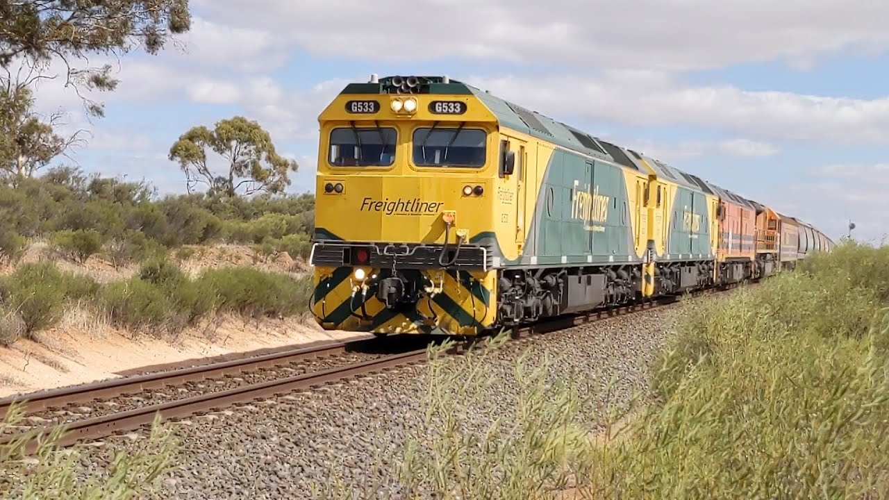 Freightliner livery Gs on empty grain.