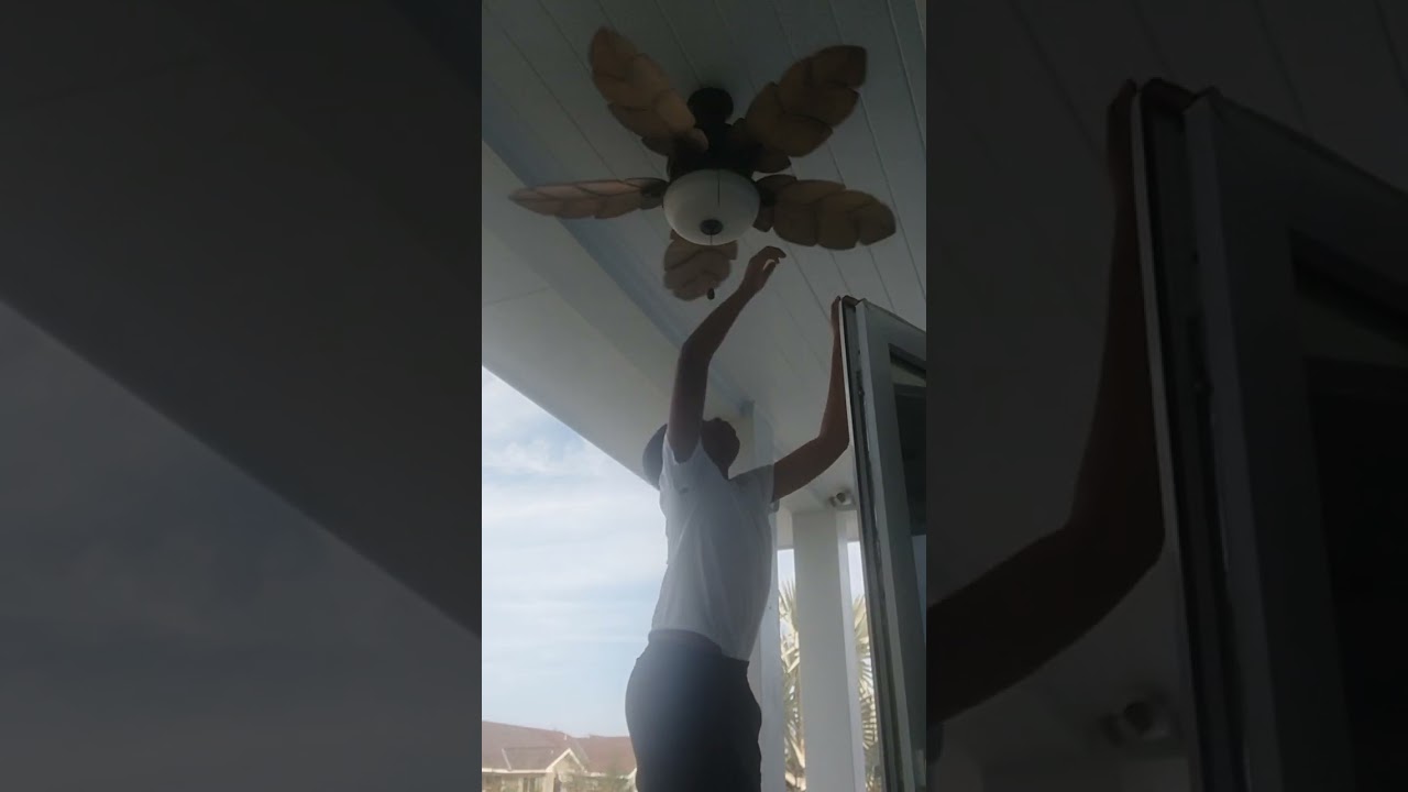 palm cove ceiling fan