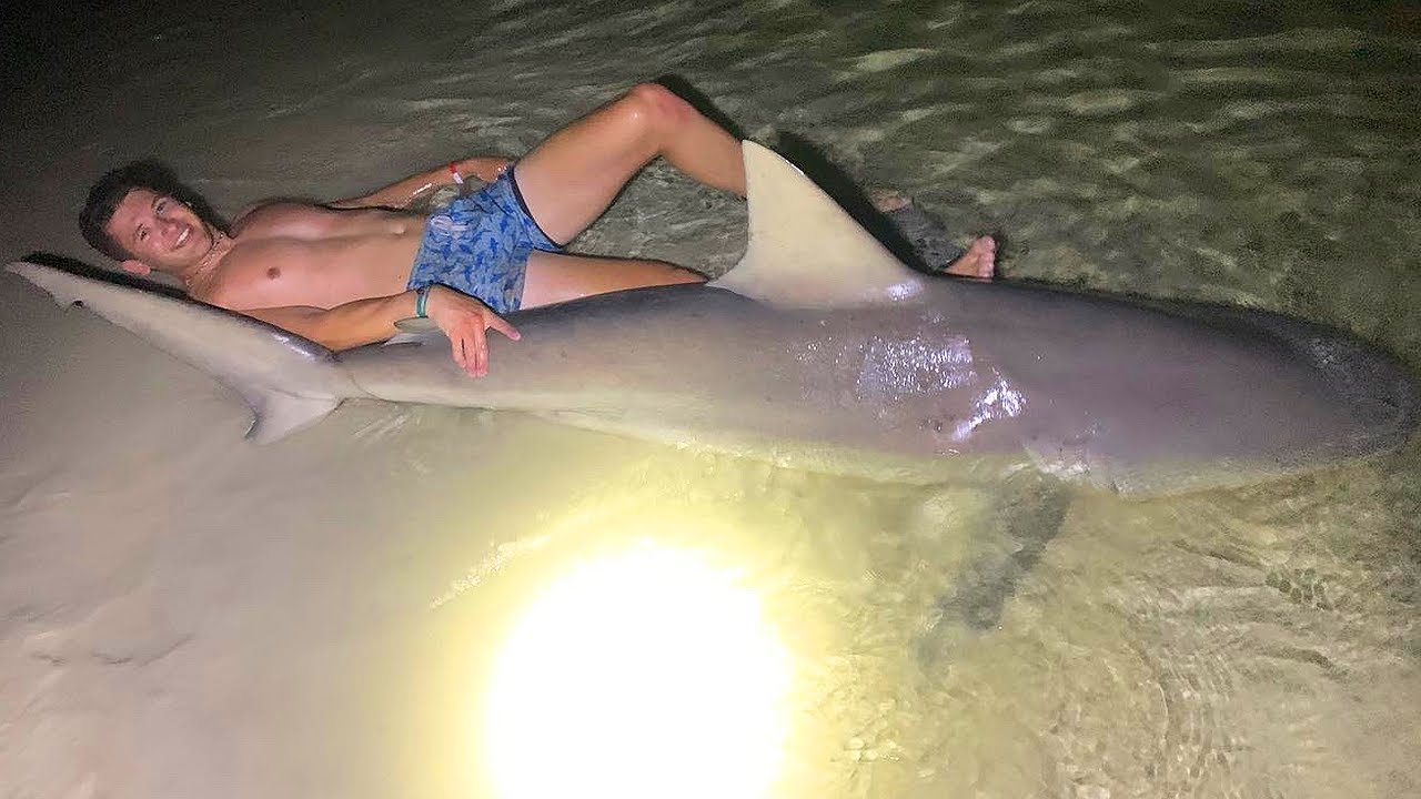 GIANT Sandbar Shark Caught On Penn Senator 12/0 (Using Catfish As Bait)