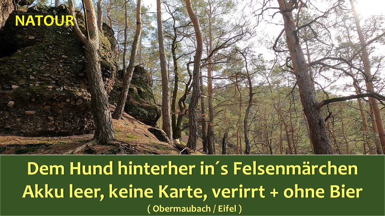 Hund futsch - hinterher ... in´s Felsenmärchen