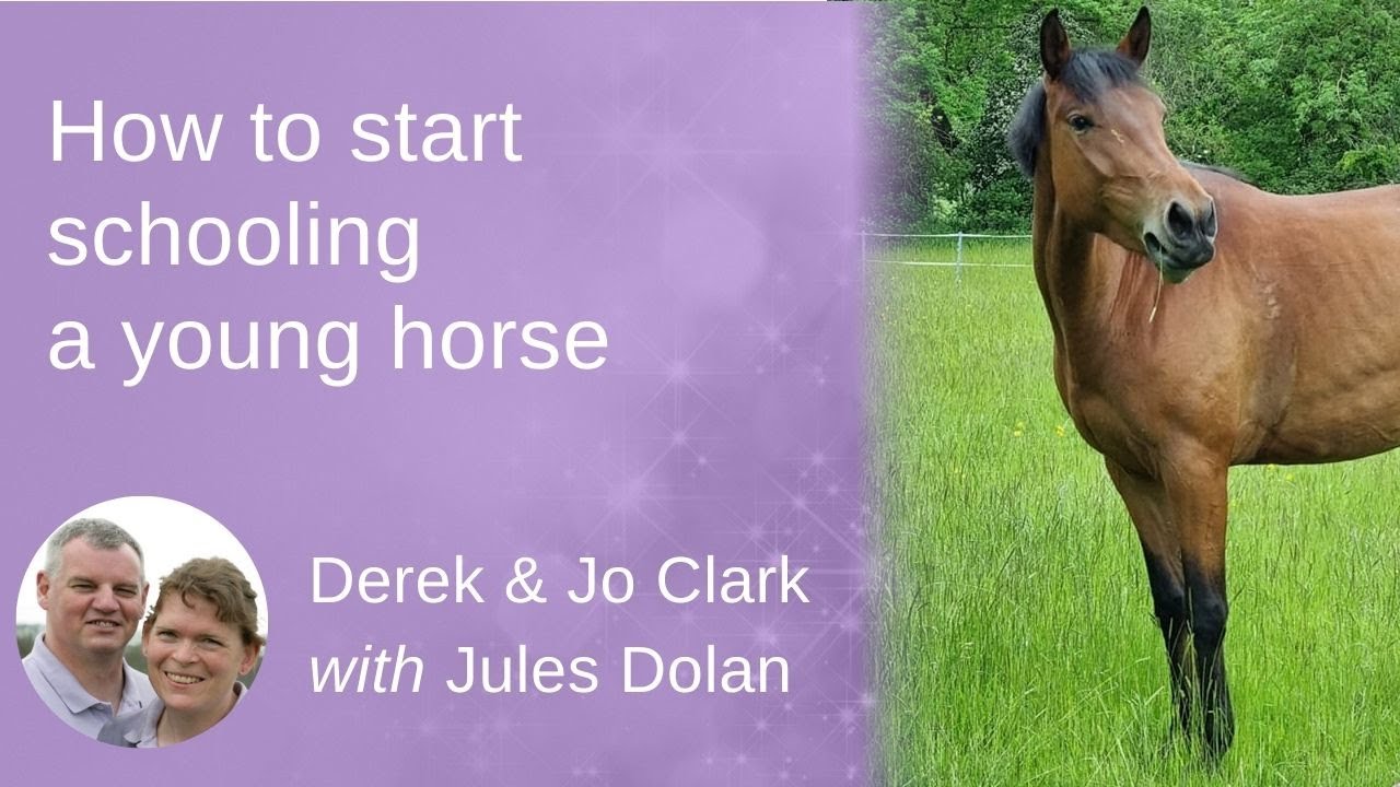 How To Get Started With A Young Horse