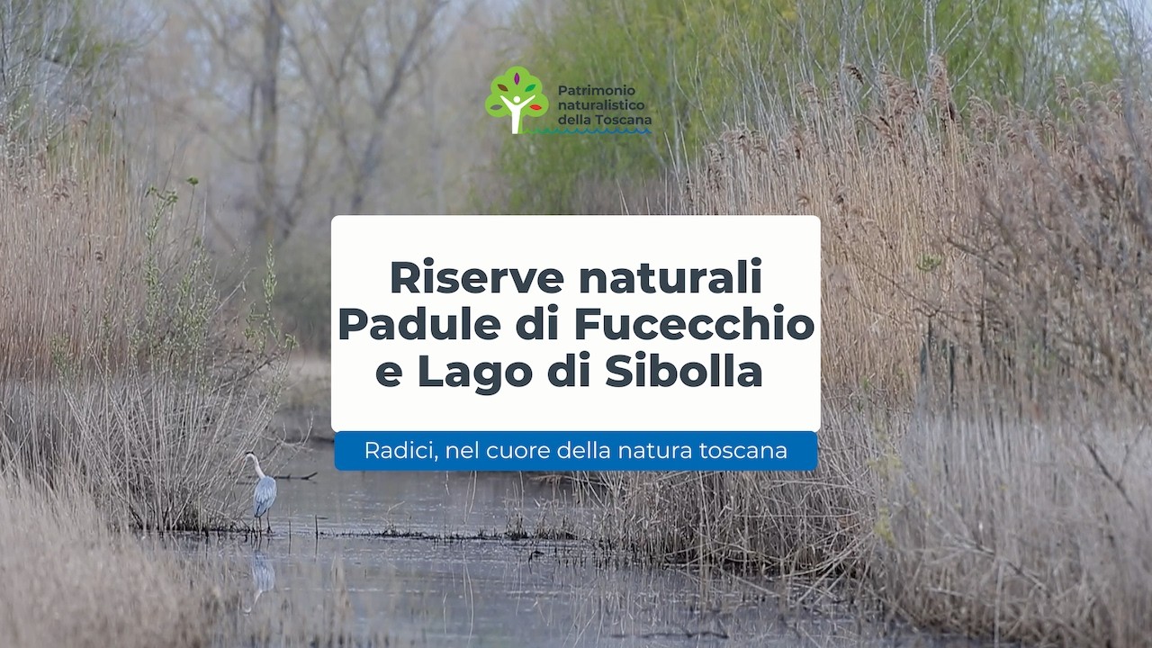 Con Radici in viaggio nelle Riserve naturali del Padule di Fucecchio e Lago di Sibolla