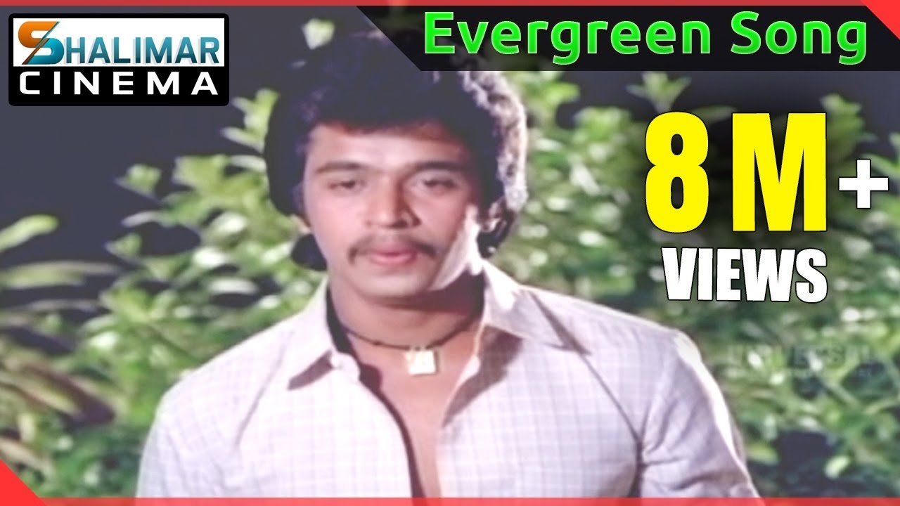 Evergreen Hit Song of the day || Rani Ranamma Video Song || shalimarcinema || Shlimarcinema