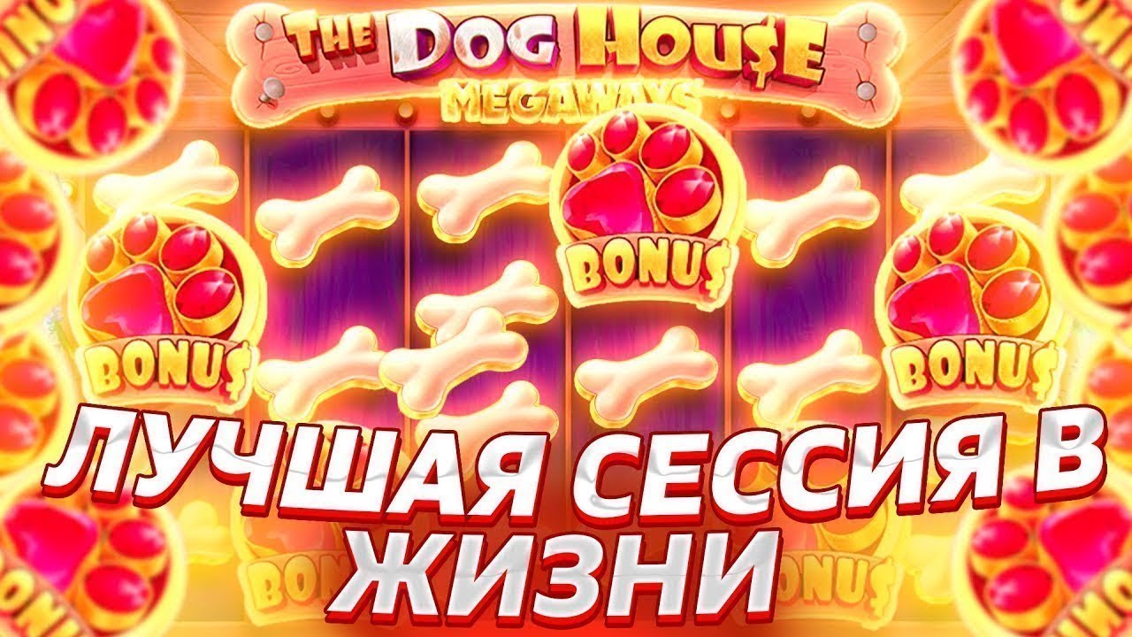 ЗАНОС В DOG HOUSE!!! ПОЙМАЛ БОНУС ПО 1000!!! / ЗАНОСЫ НЕДЕЛИ / DOG HOUSE / DOG HOUSE ЗАНОСЫ