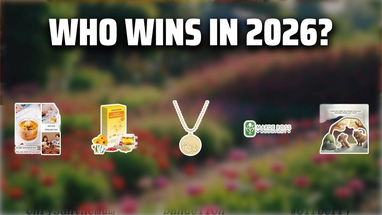 The Top 5 Best Chrysanthemum Review in 2026 - Must Watch Before Buying!