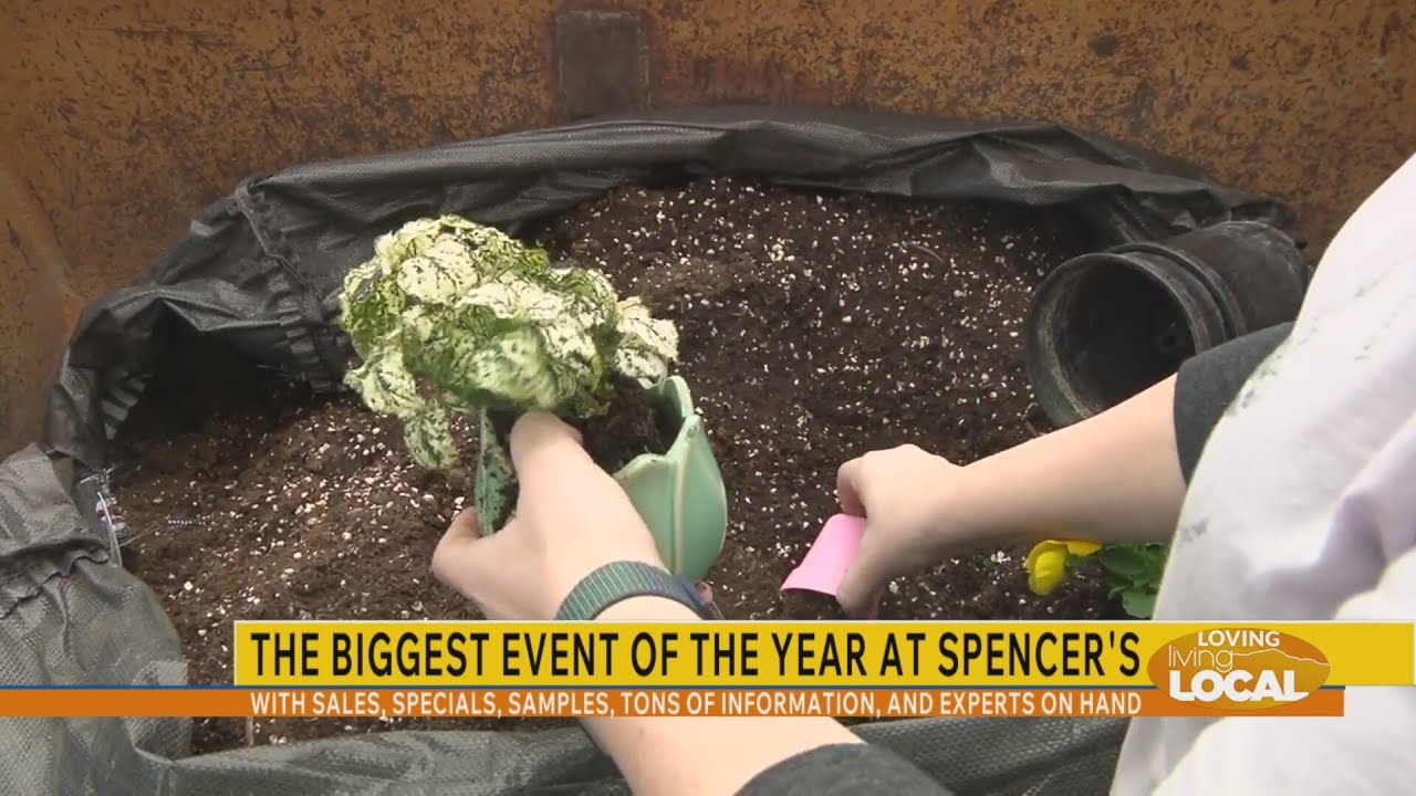 The fun things to do at the 30th Annual Garden Success Show at Spencer's in Fountain