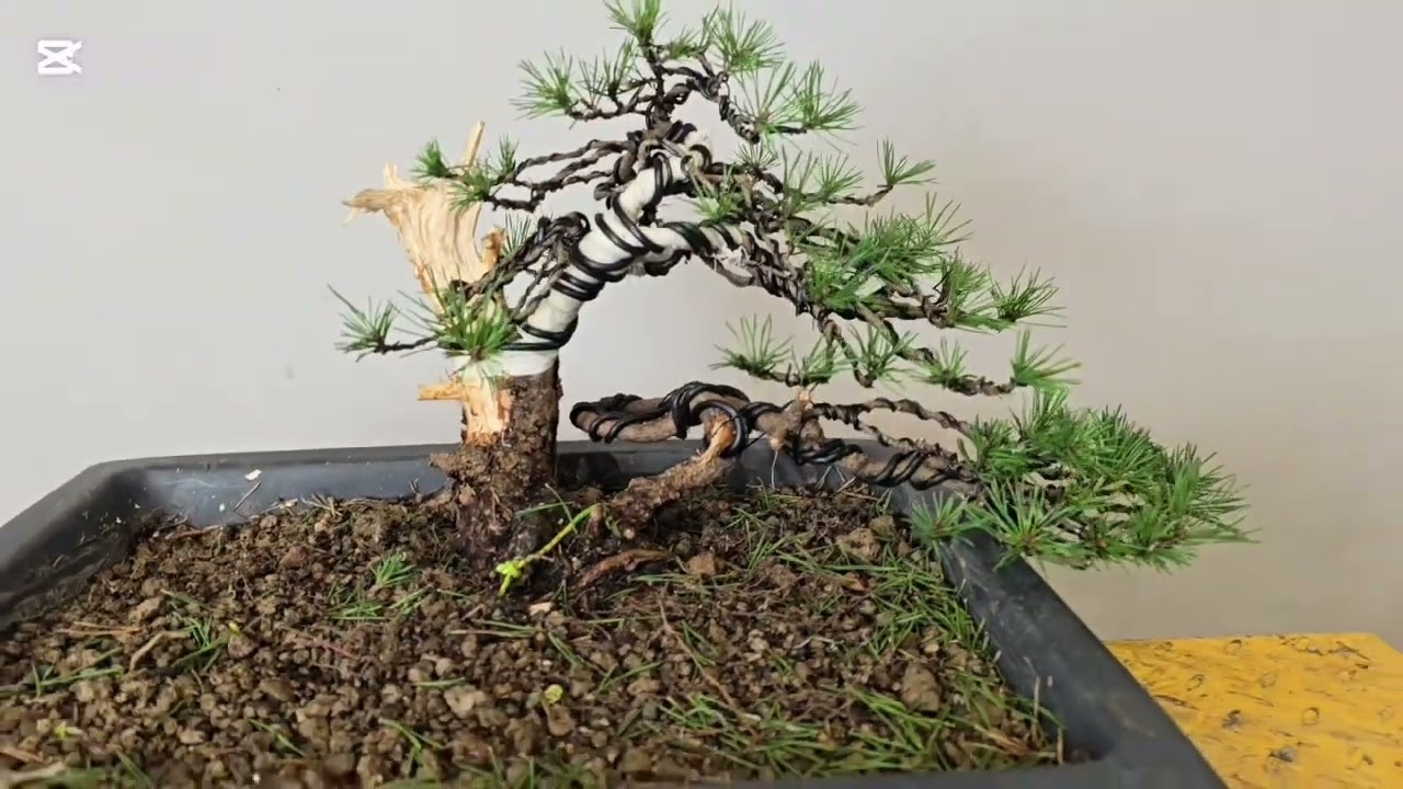 un día de trabajo