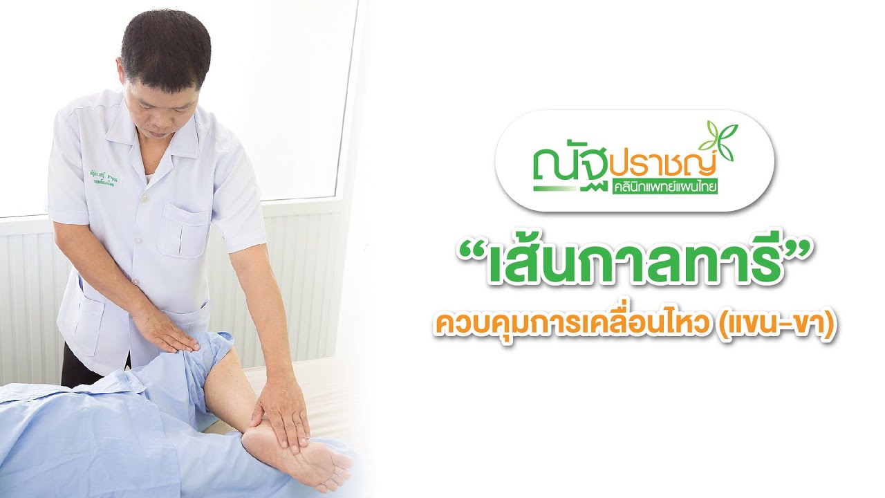 EP.04 เส้นกาลทารี ควบคุมการเคลื่อนไหว (แขน-ขา)