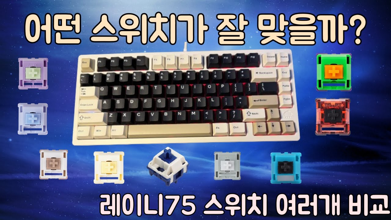 레이니 키보드 스위치 뭐가 다를까? 직접 비교해봤습니다🔥
