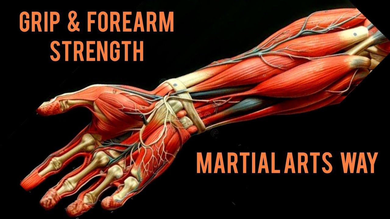 Follow Along Grip & Forearm Workout ( Martial Arts Version )