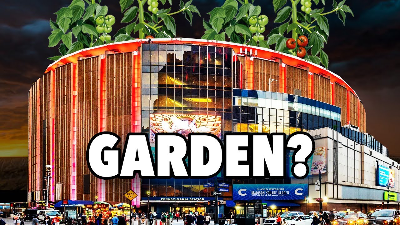Why Are Arenas Called 