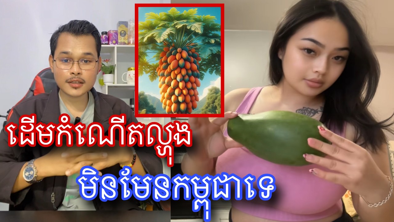 មកស្គាល់ពីដើមកំណើតនៃផ្លែរល្ហុងមុនមកដល់កម្ពុជា l Mr.Veasna