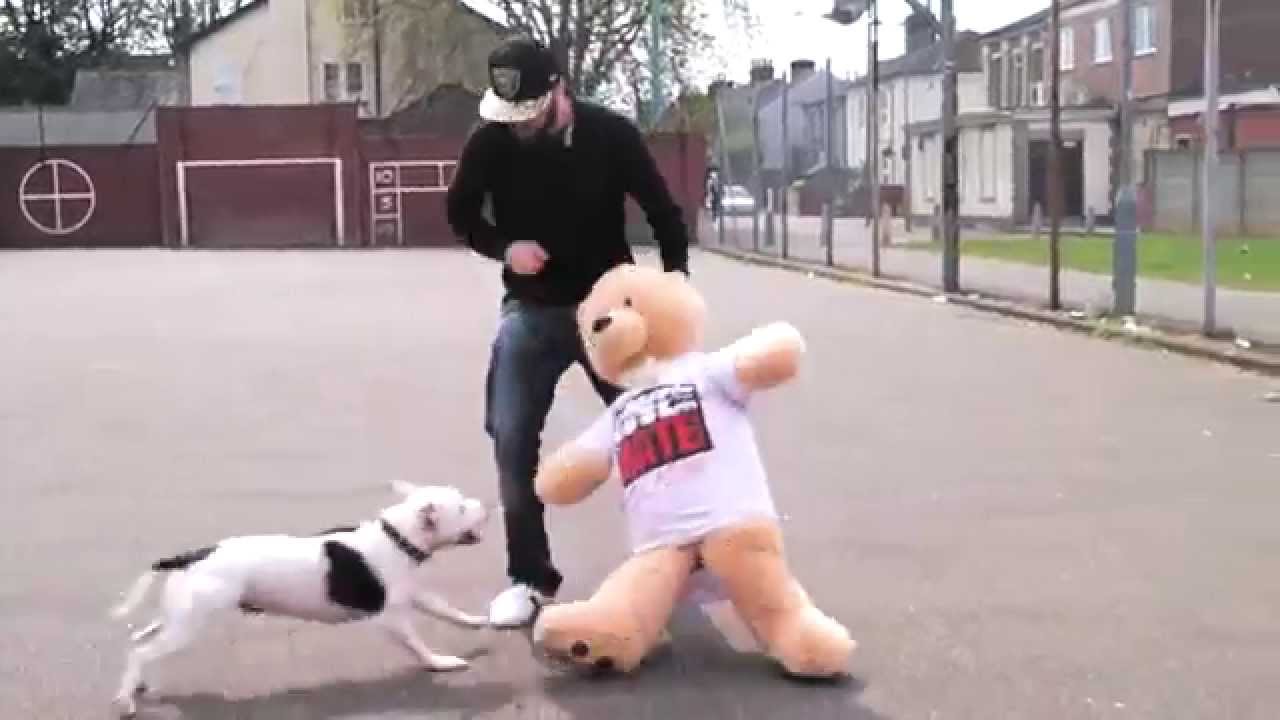 Makker - Man Down (Music Video) [@Makker_artist] | Link Up TV