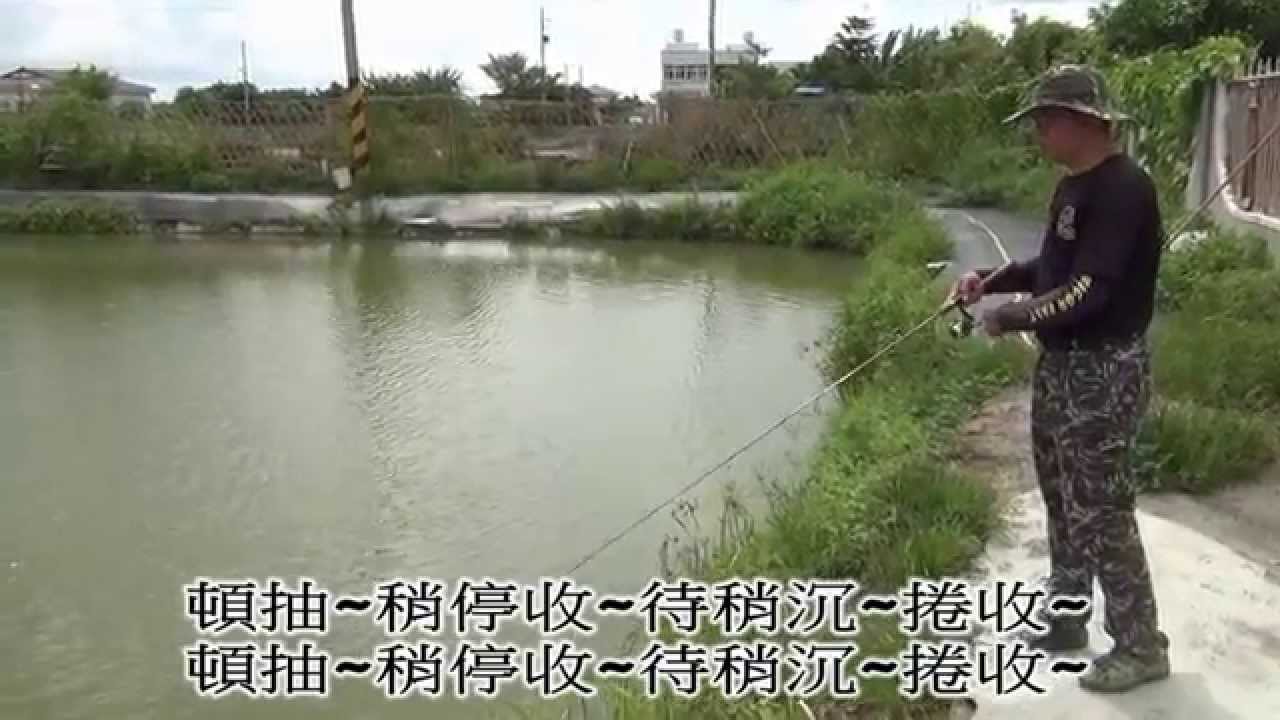 【魚擬共舞】T尾形軟蟲實戰操作講座