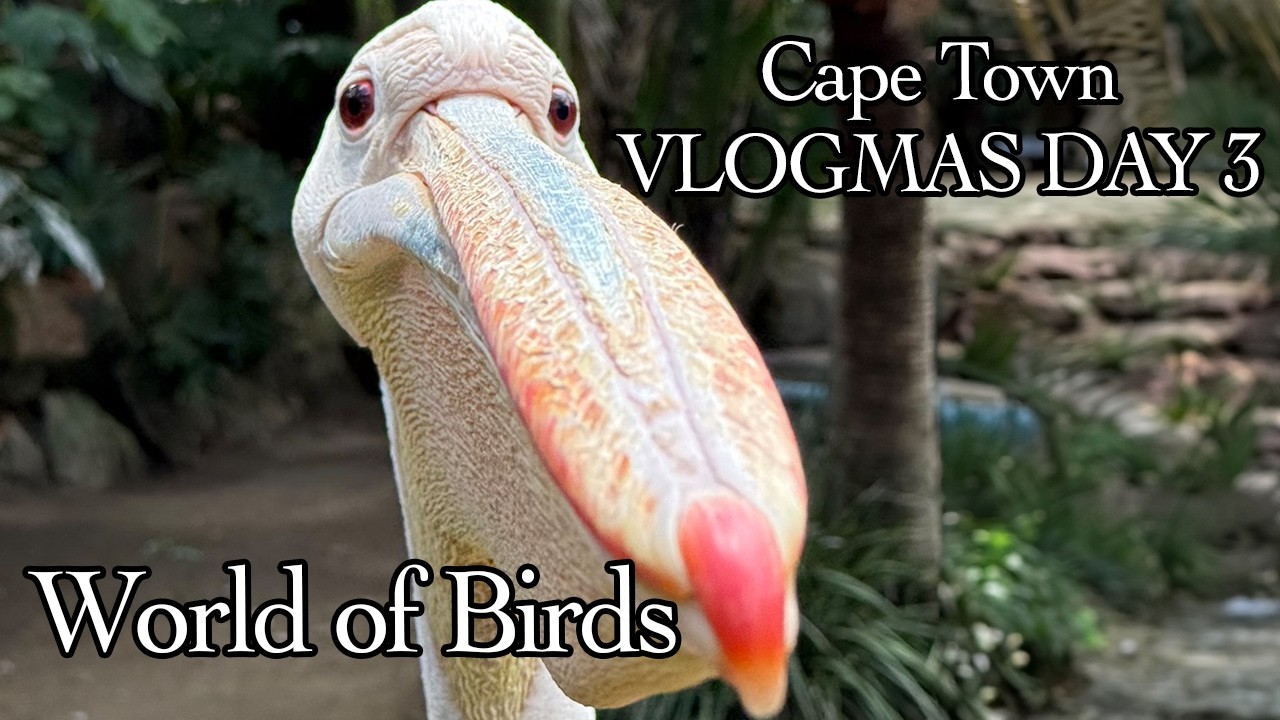 World of Birds - Africa's Largest Bird Park!