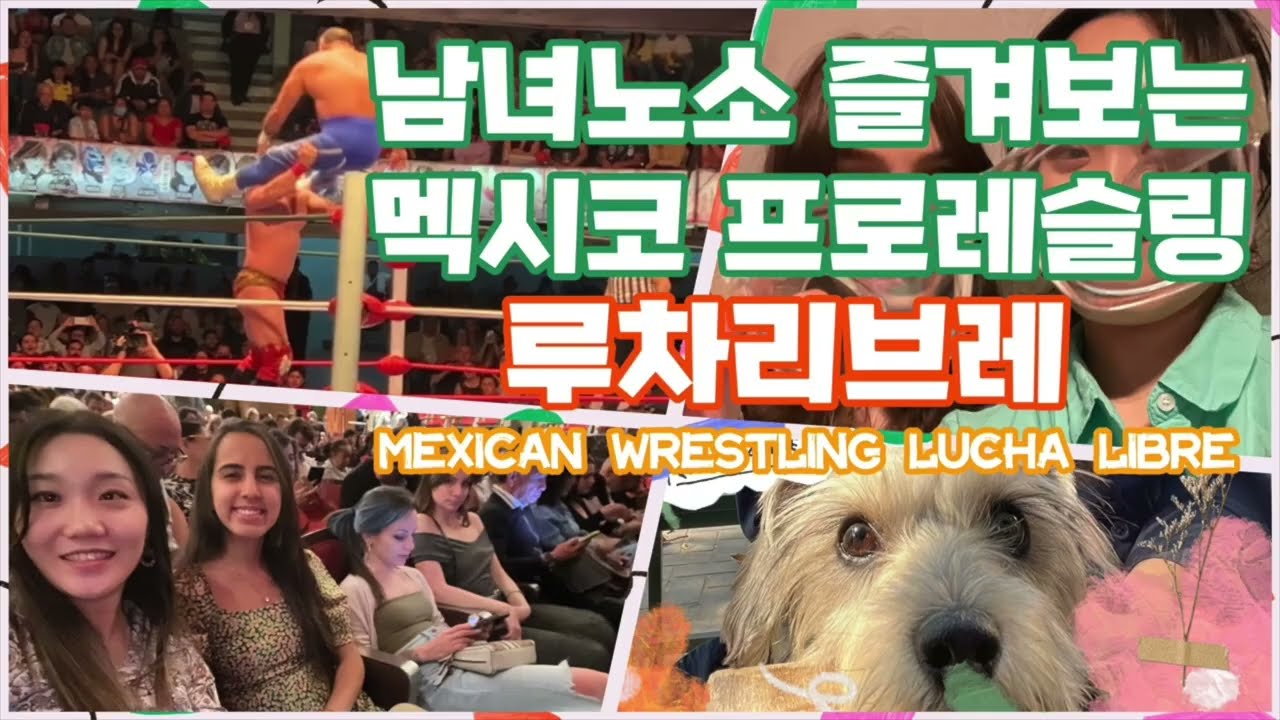 Ep.06 루차리브레 가서 멕시코 한판 해야지 🤼‍♂️🇲🇽/멕시코에서 운전면허 갱신하기🪪/예술궁전에 발레보러가기🩰/ 멕시코에서는 한국이 유행이다! 🇰🇷