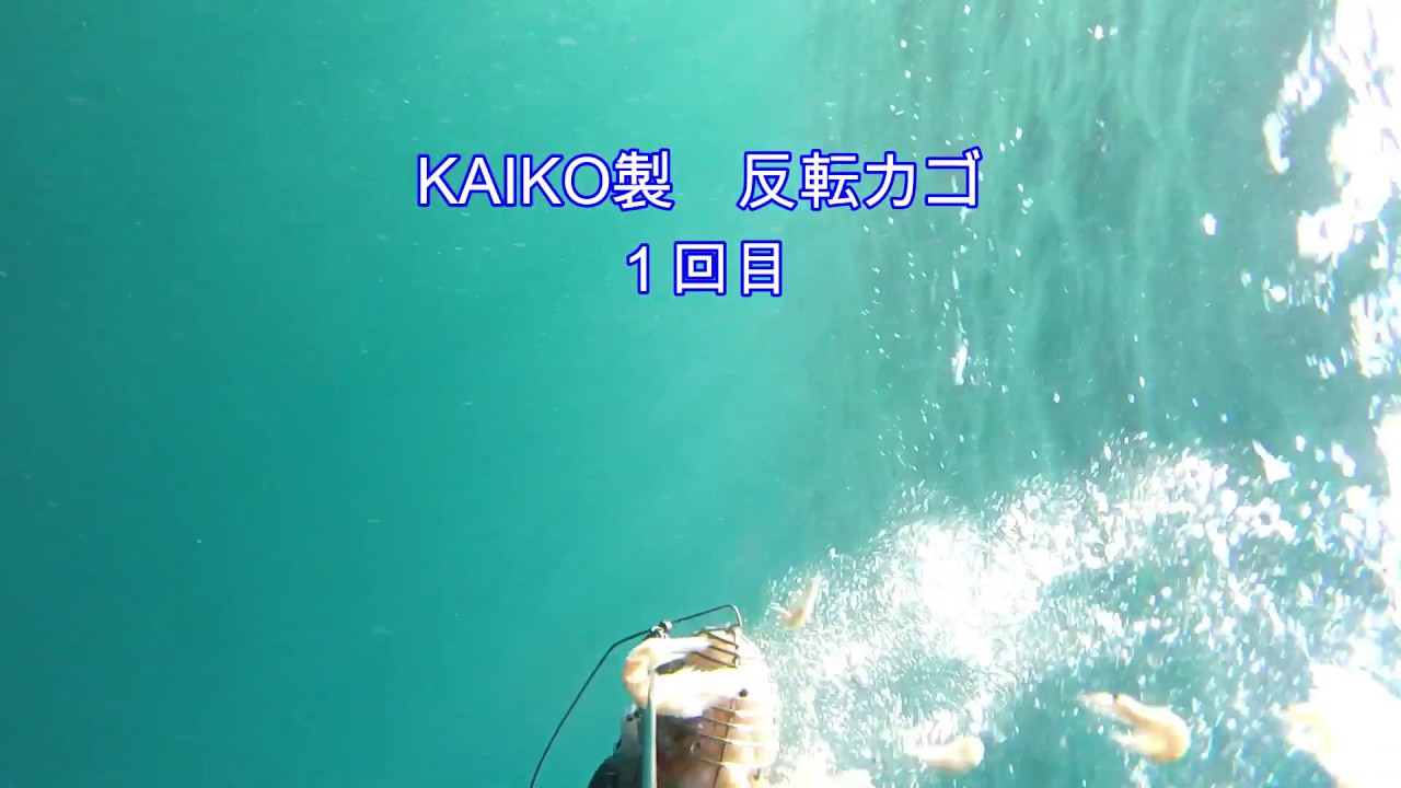 カゴ　水中映像　各種カゴの餌の放出観察（浜田伍八編）