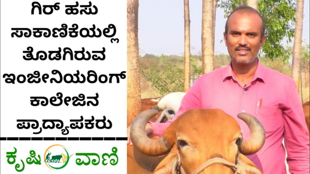ಗಿರ್ ಹಸು ಸಾಕಾಣಿಕೆಯಲ್ಲಿ ತೊಡಗಿರುವ ಇಂಜೀನಿಯರಿಂಗ್ ಕಾಲೇಜಿನ ಪ್ರಾದ್ಯಾಪಕರು | Gir Cow Dairy Framing | A2Milk |