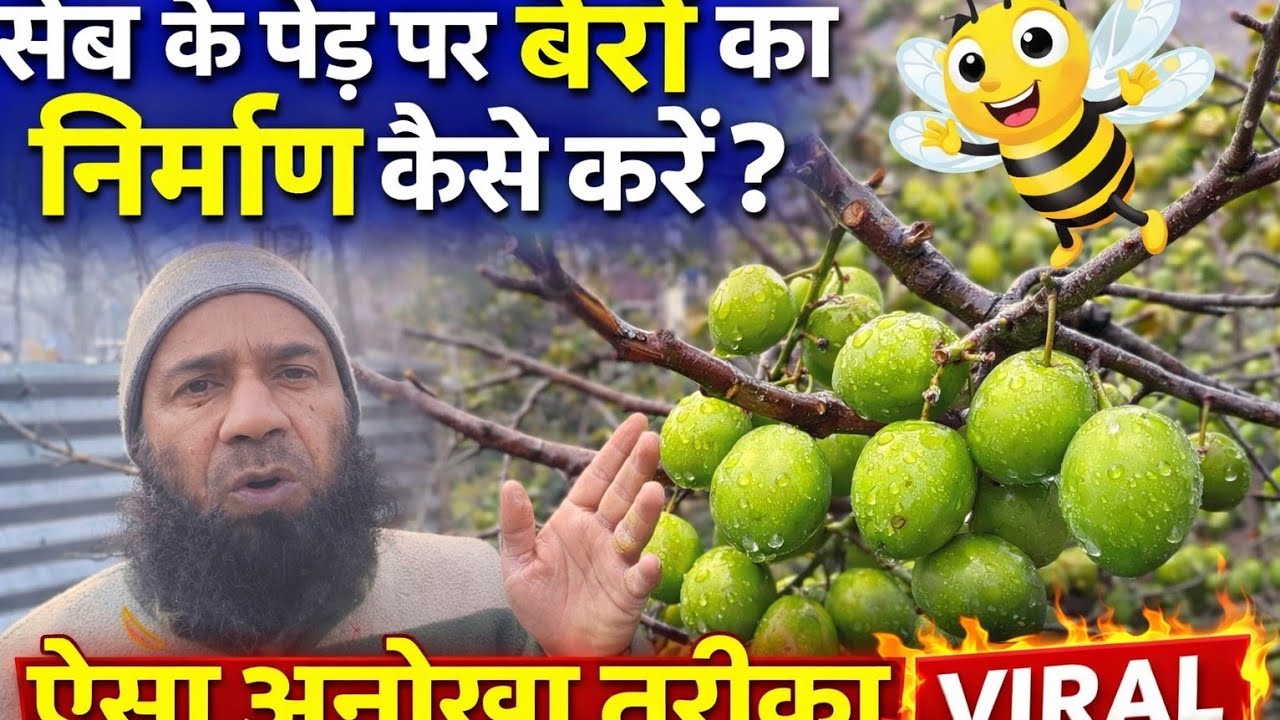 How to Improve Bud Formation in Apple Trees | Complete Guide