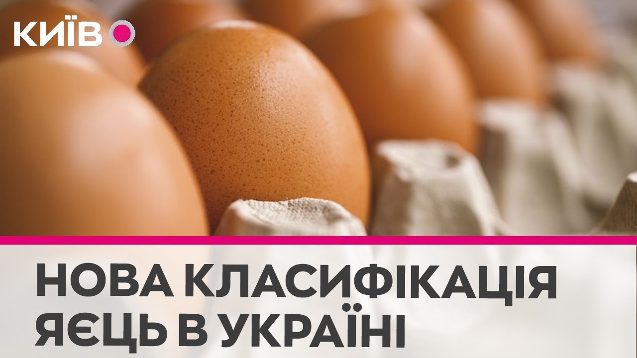 Категорії курячих яєць: їх класифікація і характеристика