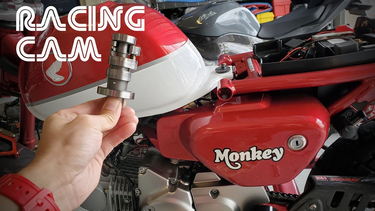 TBolt USA Cam Install on the 2019 Honda Monkey