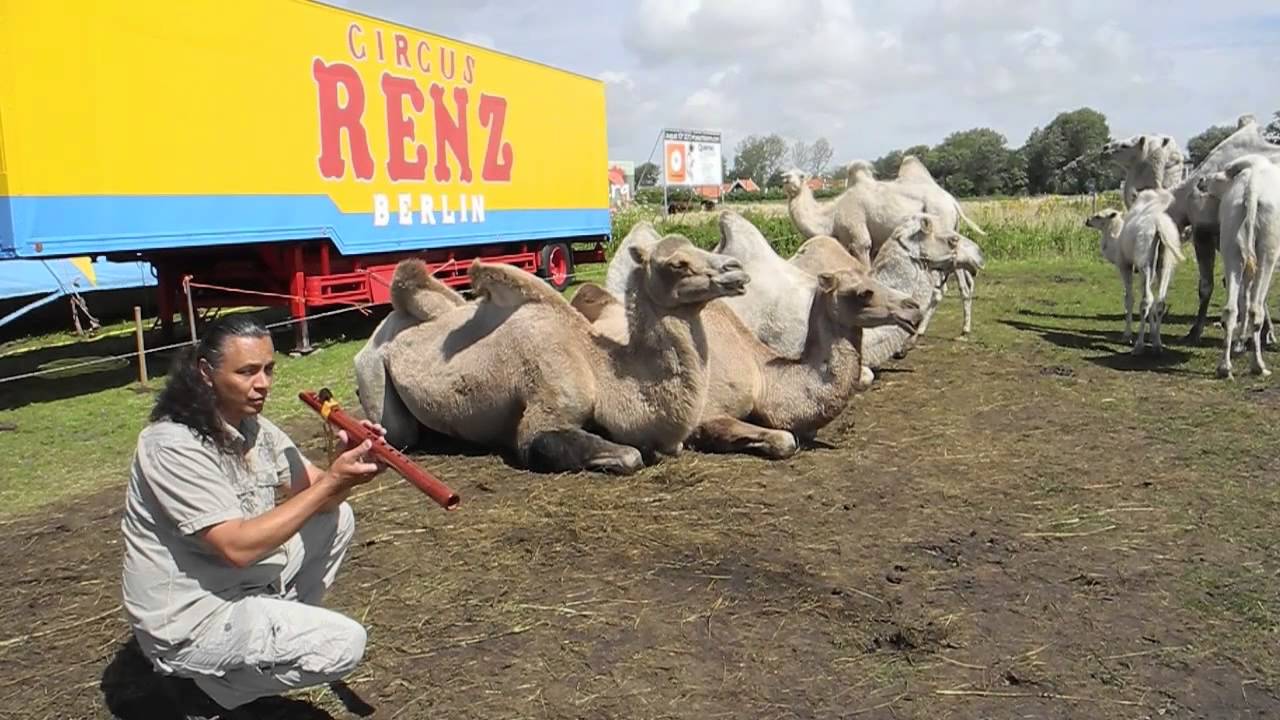 Michael Telapary plays flutes for Camels