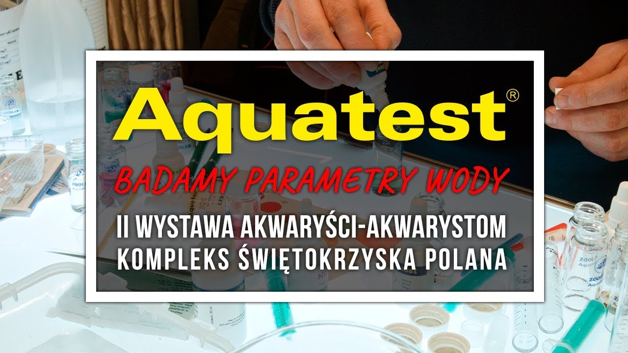 ZOOLEK Aquatest 👍 - Badamy parametry wody akwariowej