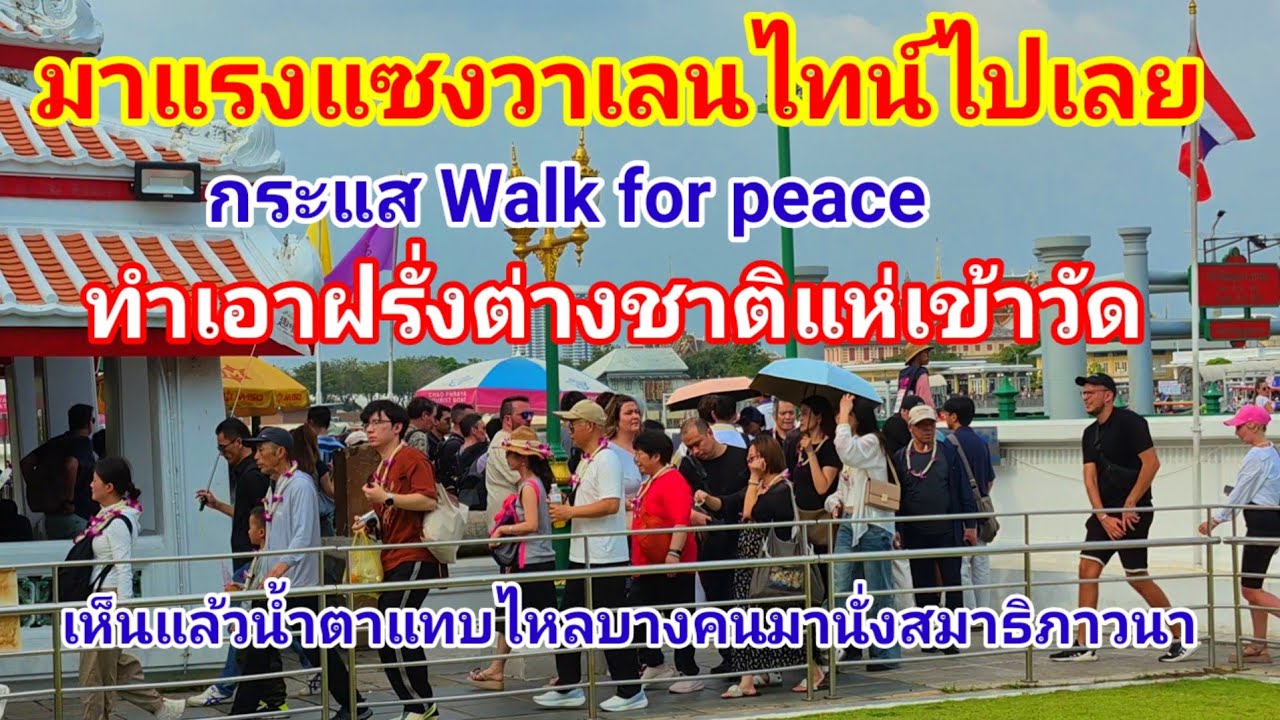 มาแรงแซงวาเลนไทน์ไปเลยกระแส Walk for peace ทำเอาฝรั่งต่างชาติแห่เข้าวัด บางคนก็มานั่งสมาธิภาวนา